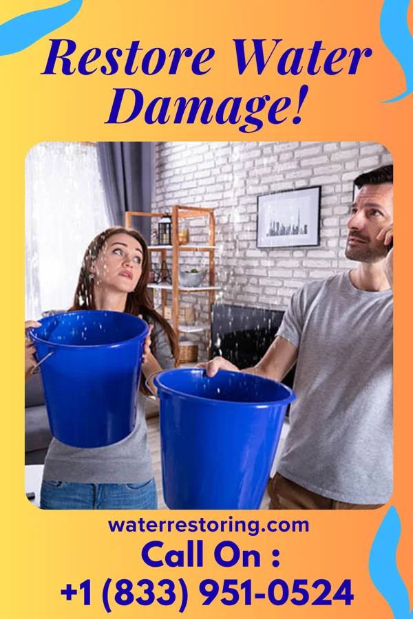 water restoration Platinum Water Removal Services Kanawha