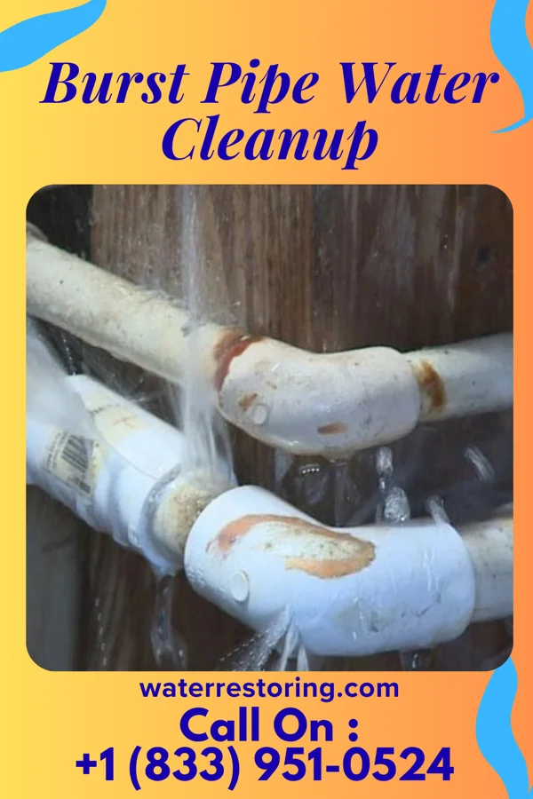 Burst Pipe Water Cleanup in Kanawha, WV