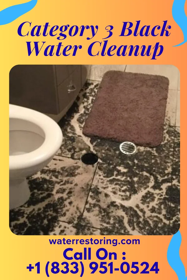 Category 3 Black Water Cleanup in Kanawha, WV