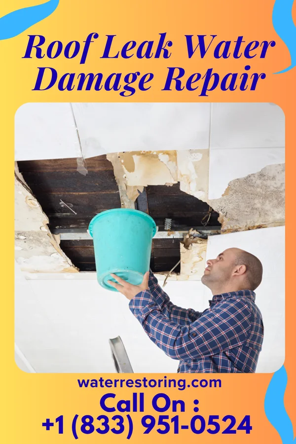 Roof Leak Water Damage Repair in Kanawha, WV